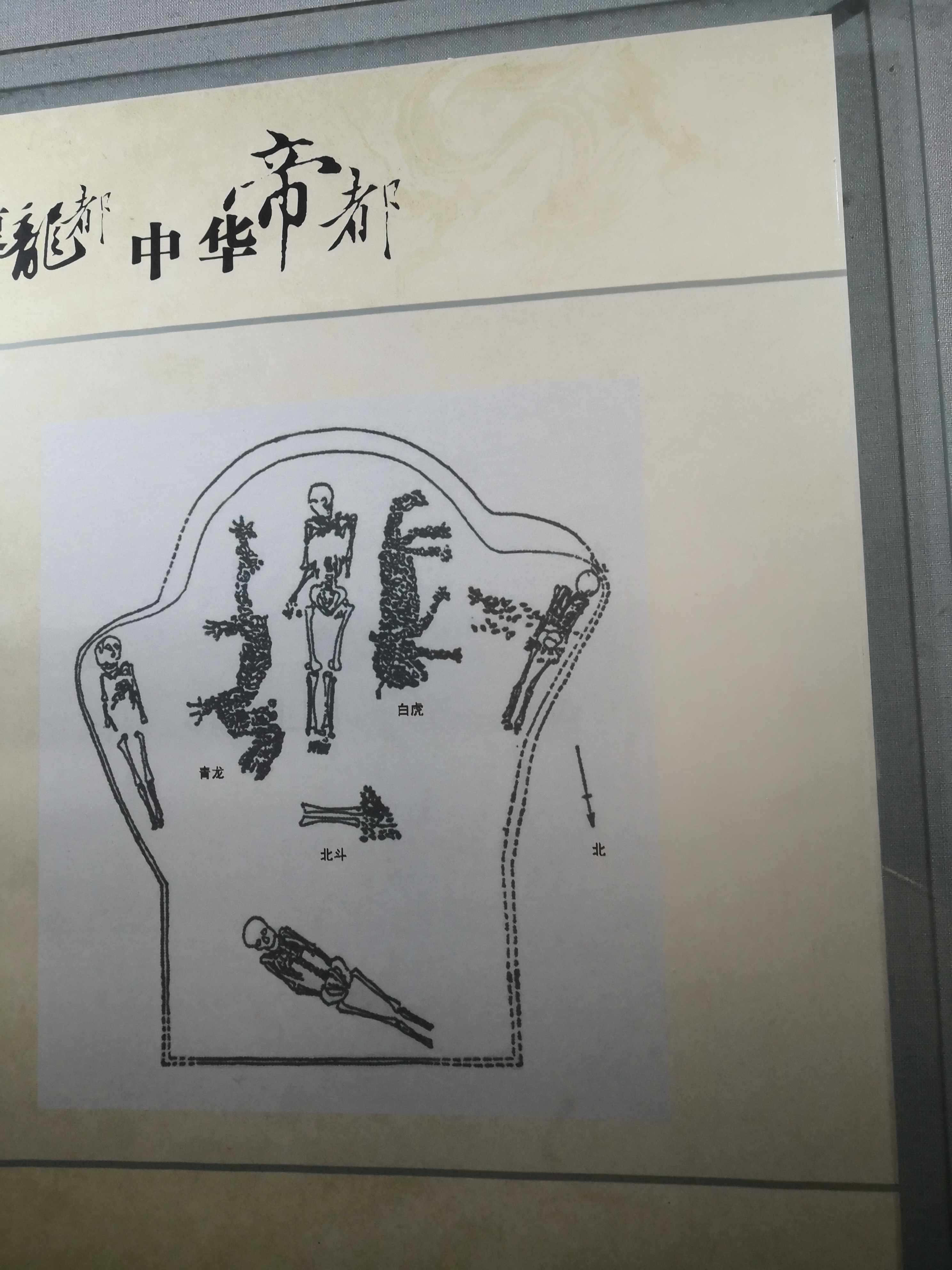 濮阳中华第一龙视频,龙之乡濮阳