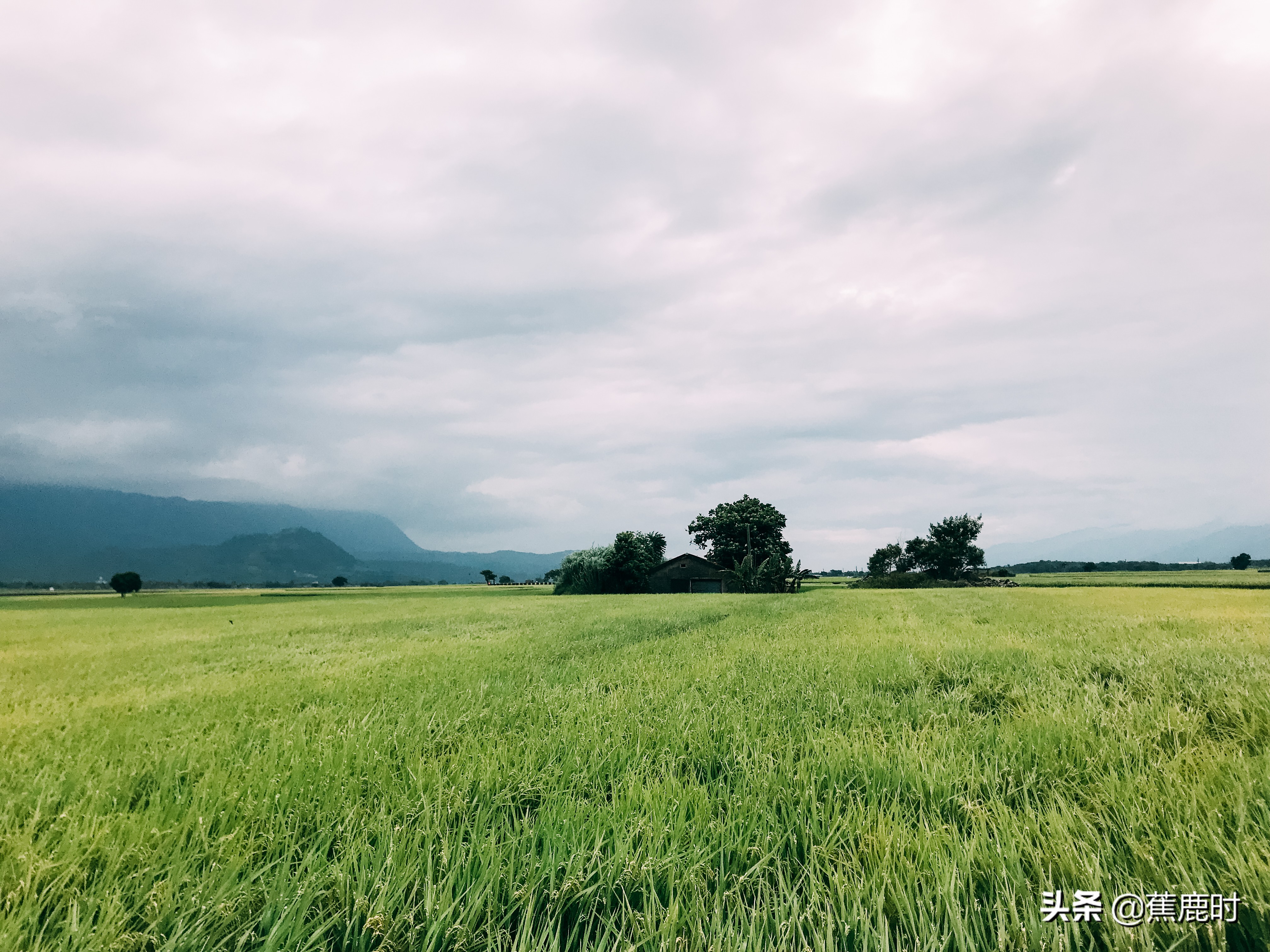 【原创连载《路回》】十七回苦念泽丧妻失子欲收张沐于膝下