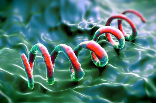 现代梅毒和古代梅毒区别,梅毒古代叫什么