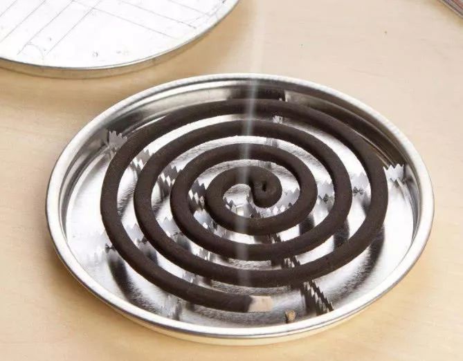 孕期卧室放什么植物好,孕妇长期在密闭房间对胎儿有影响