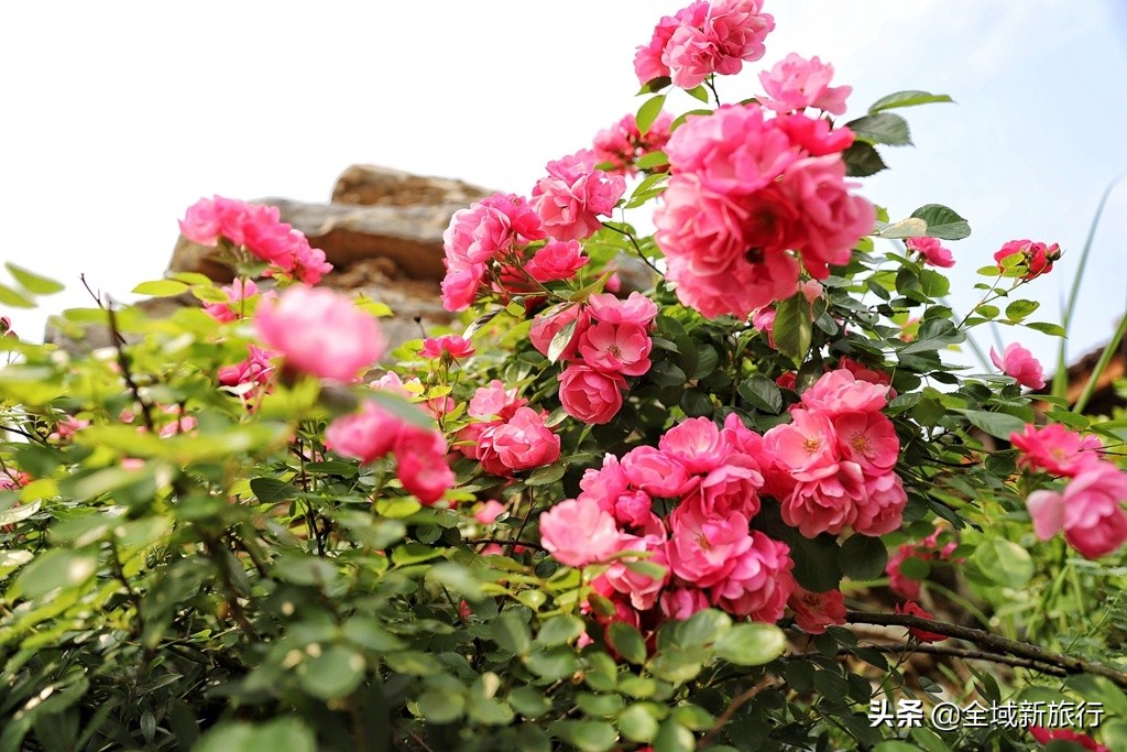 三里畈温泉攻略,三里畈镇温泉村泡温泉攻略