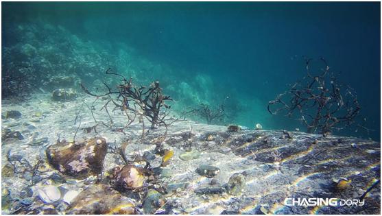 潜行多睿二代,潜行多睿值不值得买