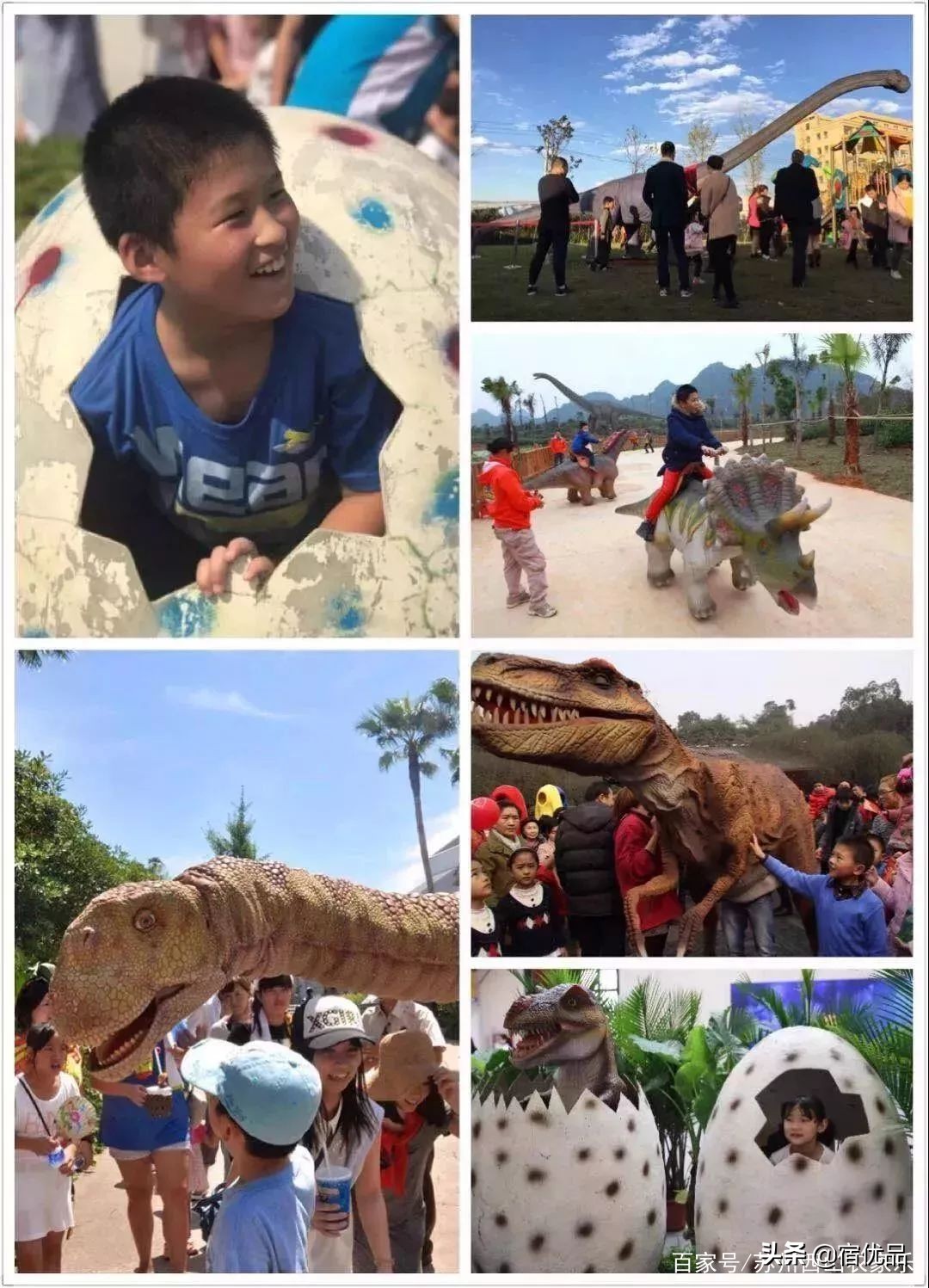 河源市连平县忠信镇大湖花海,太湖花海主题乐园