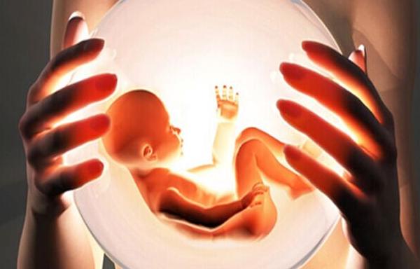 林志玲冷冻卵子,徐静蕾谈冻卵价格