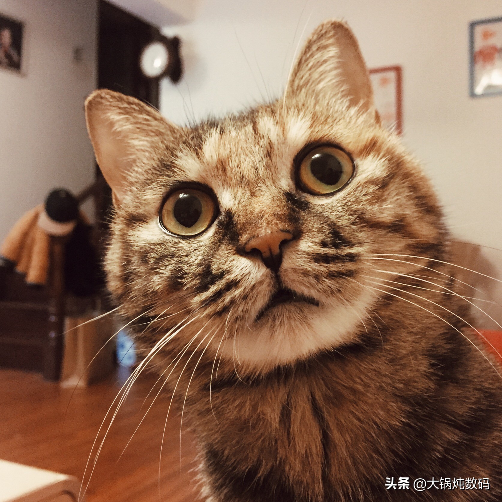 从iPhone4到iPhone16多少款手机,从iphone4到iphonex