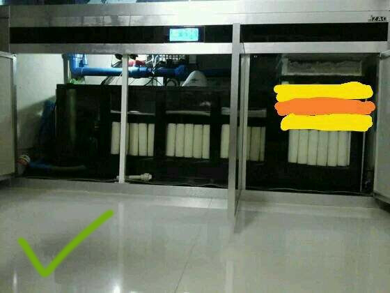 鱼缸过滤培菌效果最好的方式,鱼缸过滤培菌屋起什么作用