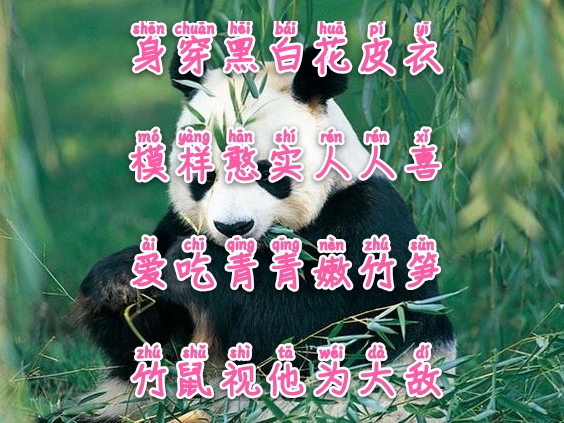 常与孩子猜谜100条儿童谜语建议,经典谜语清单让你的宝宝变聪明