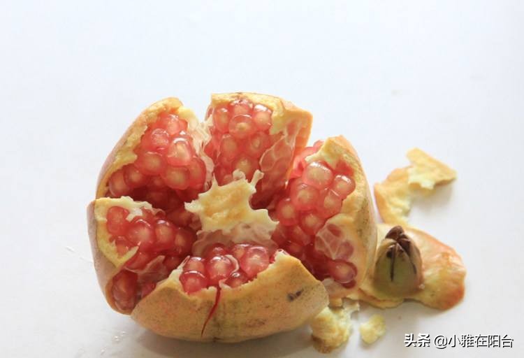 盆栽石榴怎么养视频,石榴盆栽的6个技巧