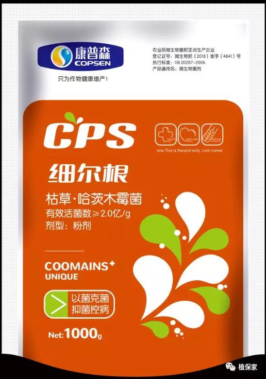 治疗根腐病用什么药,桃树根腐病的治疗方法