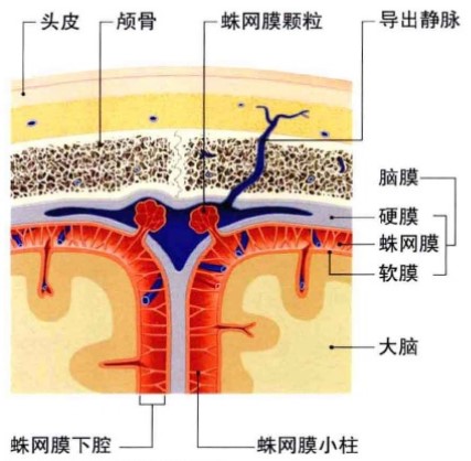 脑膜炎可以治愈吗,儿童脑膜炎的症状