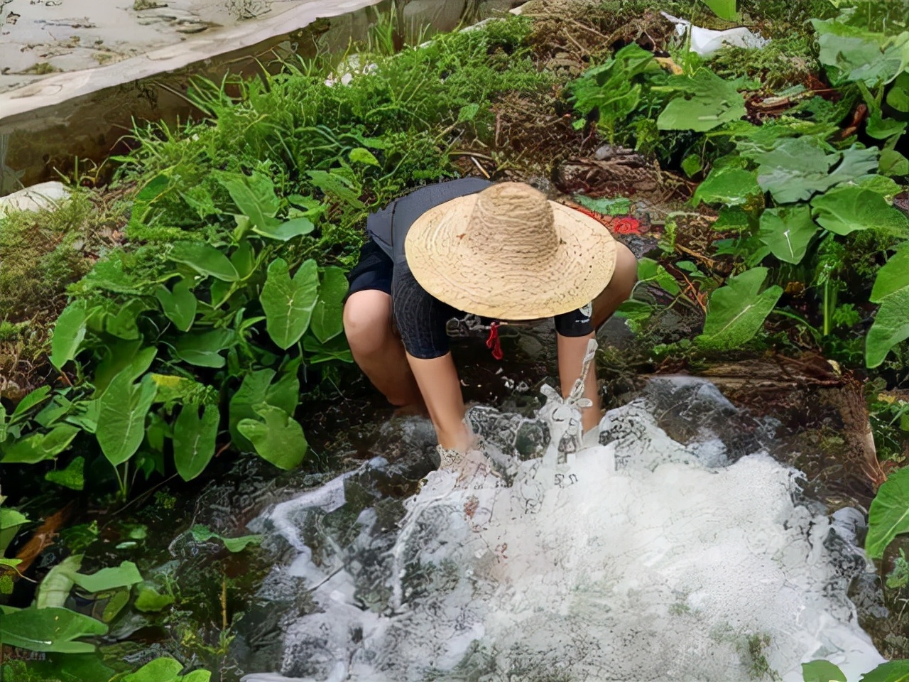 肝癌介入tace术后有什么副作用,肝癌介入治疗后副作用大不大
