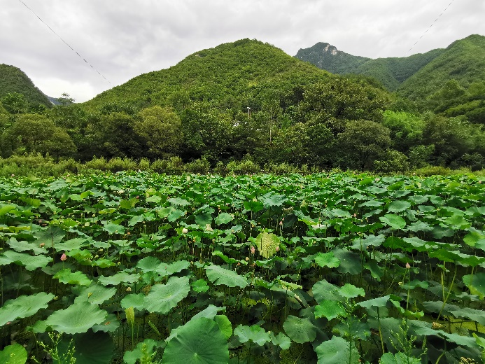 洛阳栾川天河大峡谷景区,洛阳栾川红山大峡谷