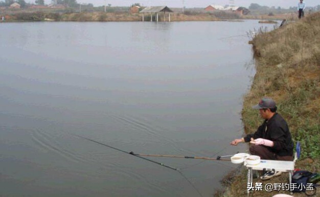 野钓遇到大鱼如何溜鱼,野钓中大鱼怎么处理