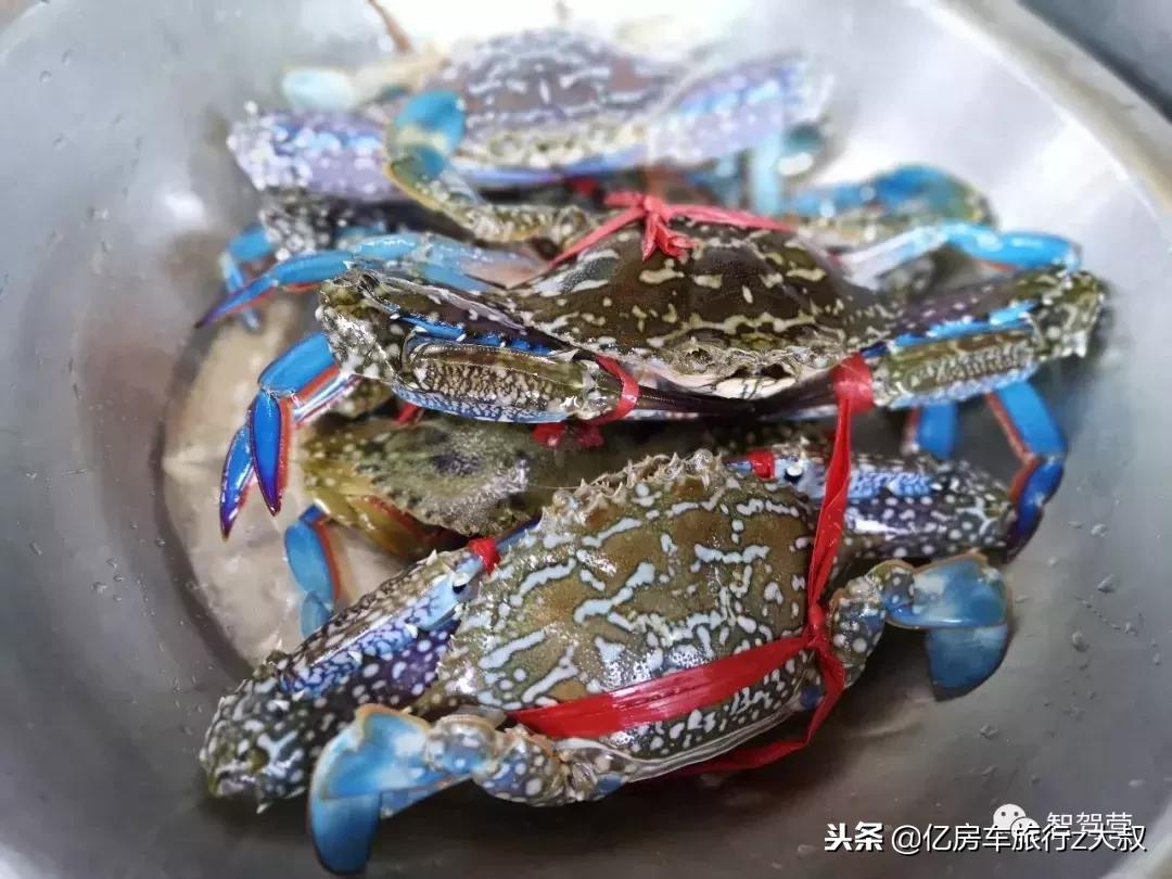 海南房车环岛营地,海南岛环岛房车营地