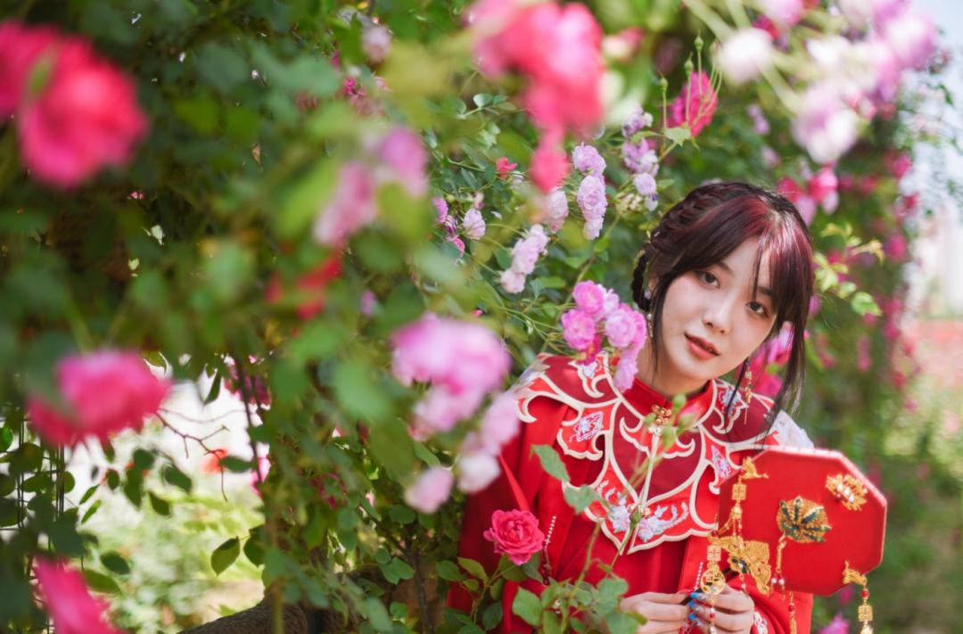 又刷屏了！高新这片花海，惊艳你的朋友圈！