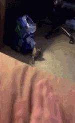 开心一刻gif搞笑动图,搞笑gif段子看起来能量满满