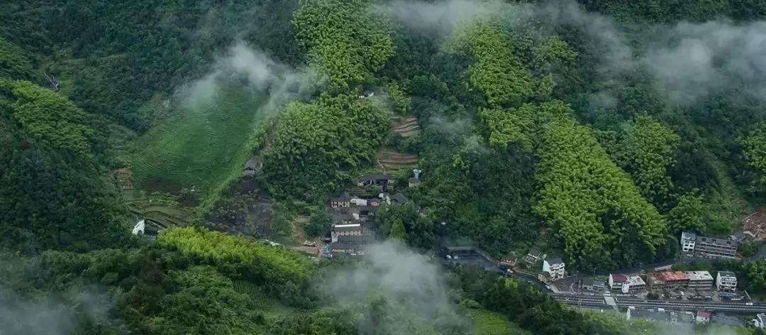桐庐最美住宿,桐庐最美的客栈