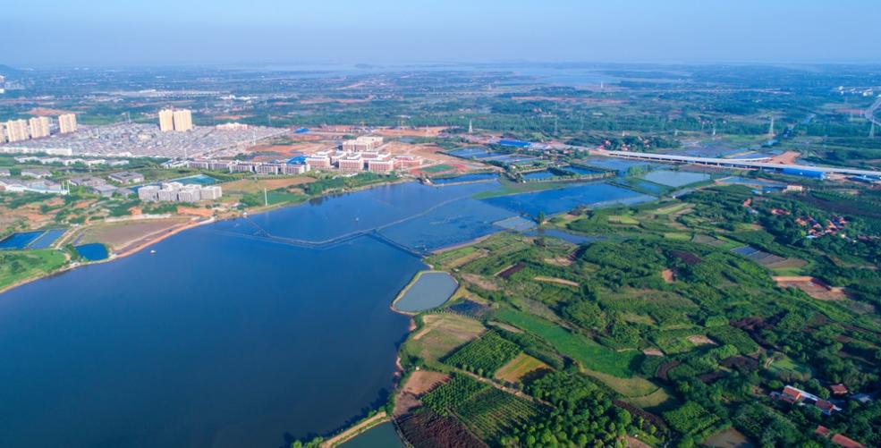 江夏藏龙岛有发展空间吗,江夏藏龙岛介绍