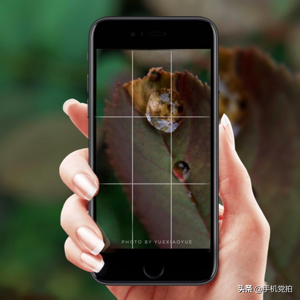 教你宅家拍氛围感大片有手就行,宅家就能轻松拍大片