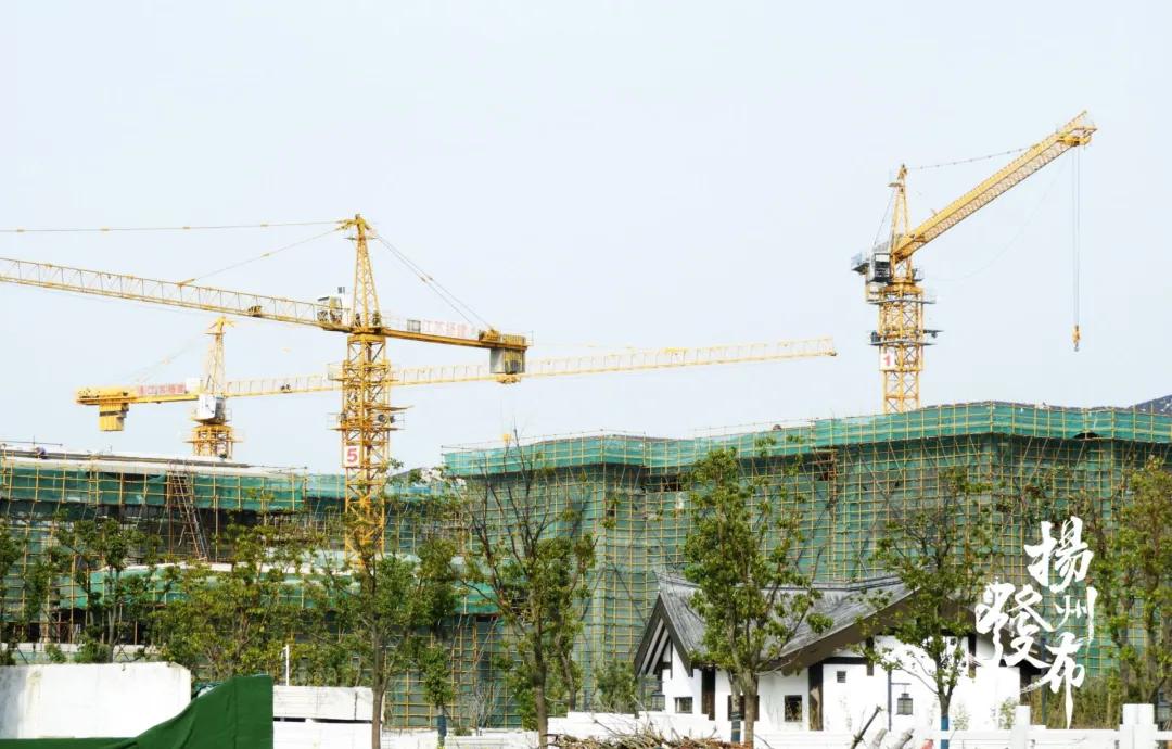 扬州京华梅岭中学2024年施教区域,扬州最牛的四所初中