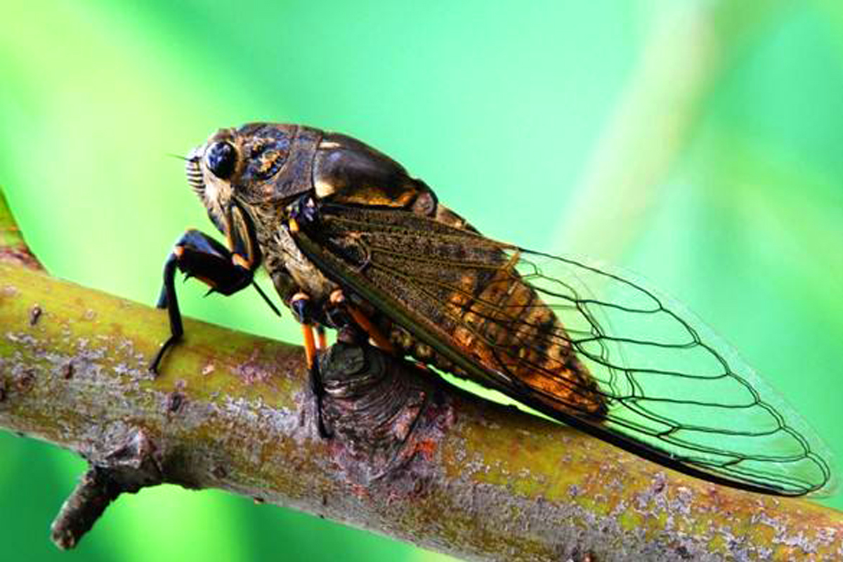 好无聊可以去哪里玩,适合旅游有海避暑的地方