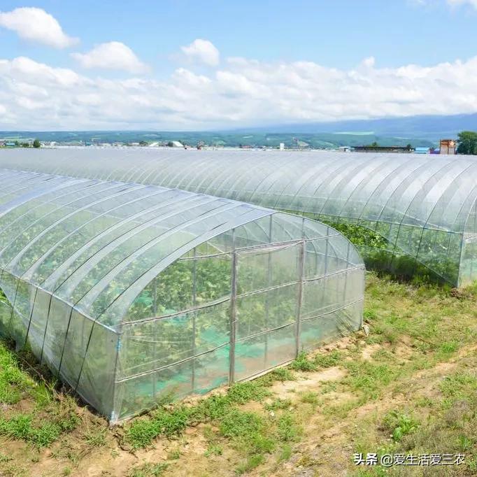 想在农村做什么生意比较好创业,农村创业做什么回本快些