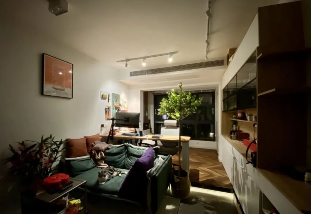佛山女子与男友、男友妈弟住76㎡，养一猫还要工作室，装修绝了