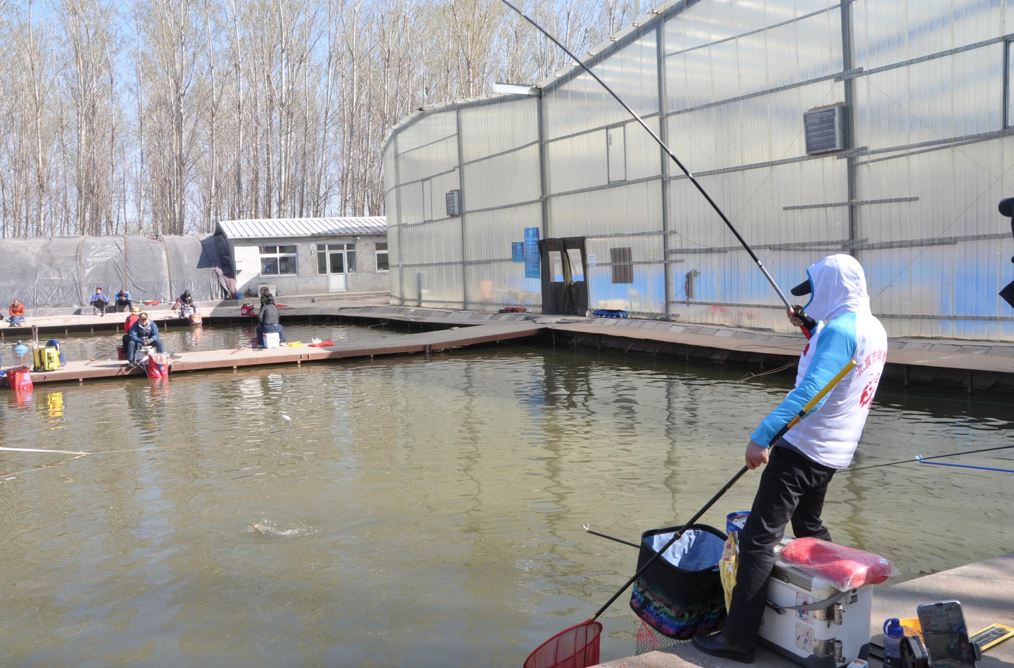 2019黑坑钓鱼比赛直播视频,黑坑钓鱼比赛2019完整视频