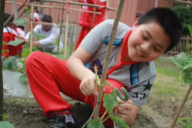 江干区最好的小区排行,江干学区房怎么样