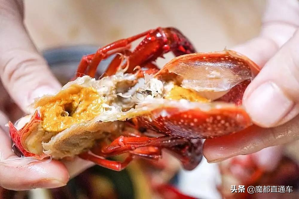 2019，在最好的时间，挑最好的地点，吃最好的食物！