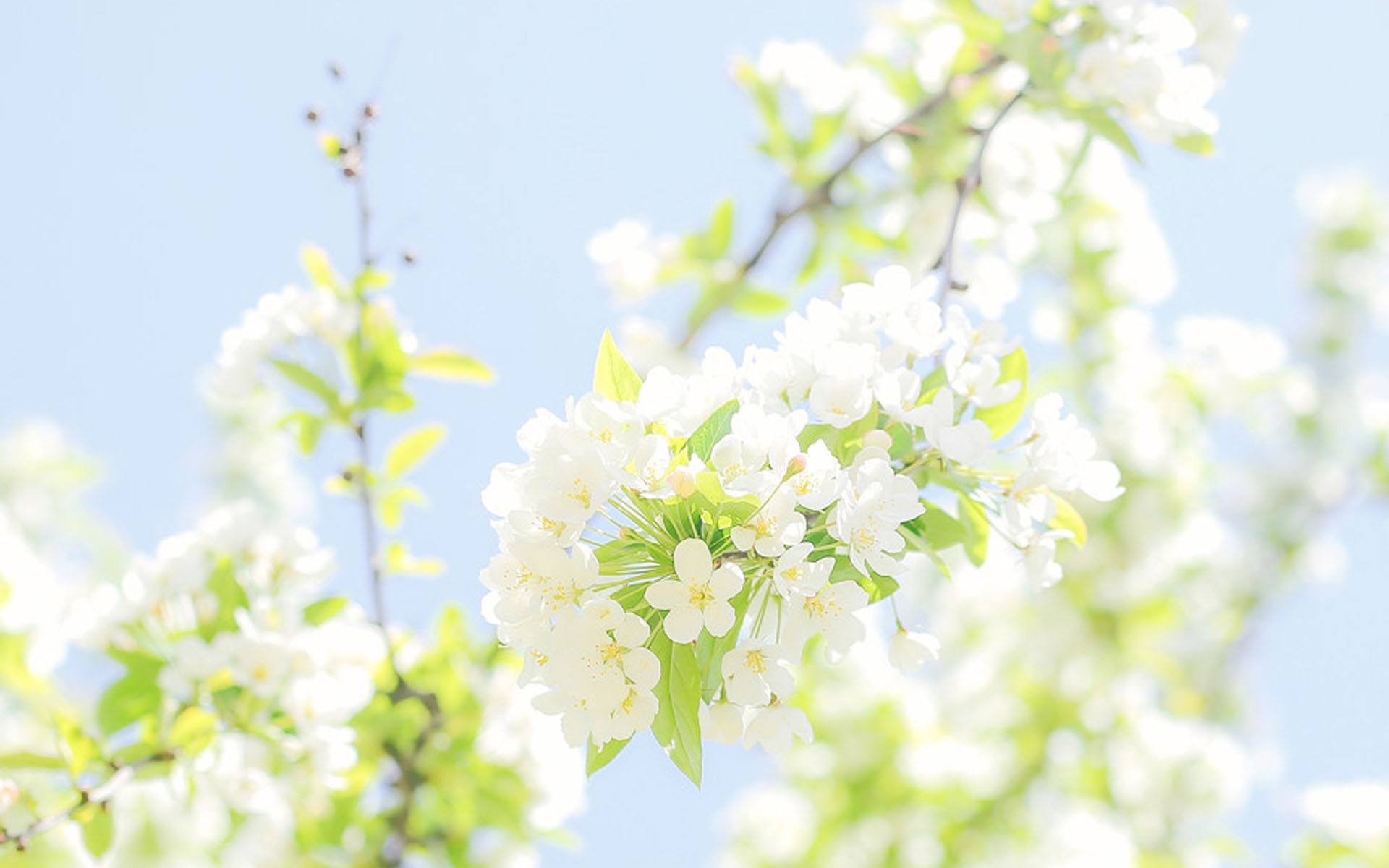 哪个女人死得最惨,哪个女的死了