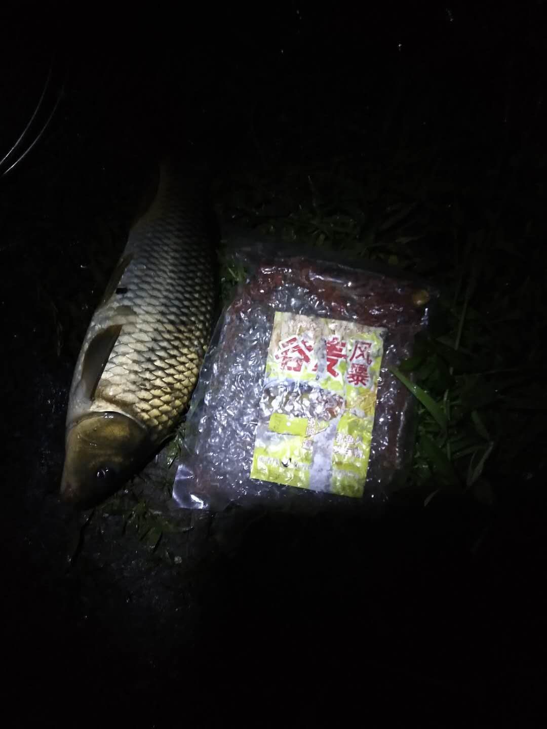 网上很火谷麦钓鱼配方,谷麦钓法是谁钓火的