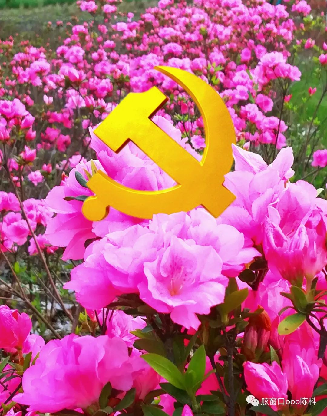 火红色的七月,火红的7月