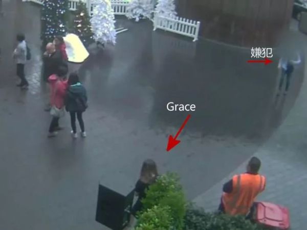 新西兰女孩被杀原因,2010新西兰女留学生被杀