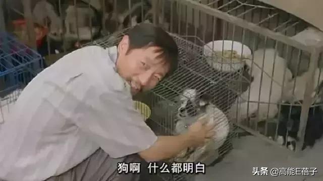 复仇方式电影,最狠的复仇方式电影