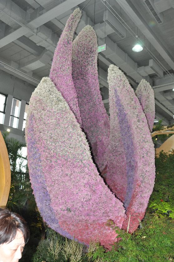 漳州东南花都花博会巡游,花博会花神巡游打卡