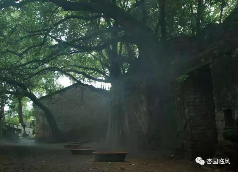 后沟砖瓦古窑展示馆,澄海隆都后沟村古瓦窑遗址位置