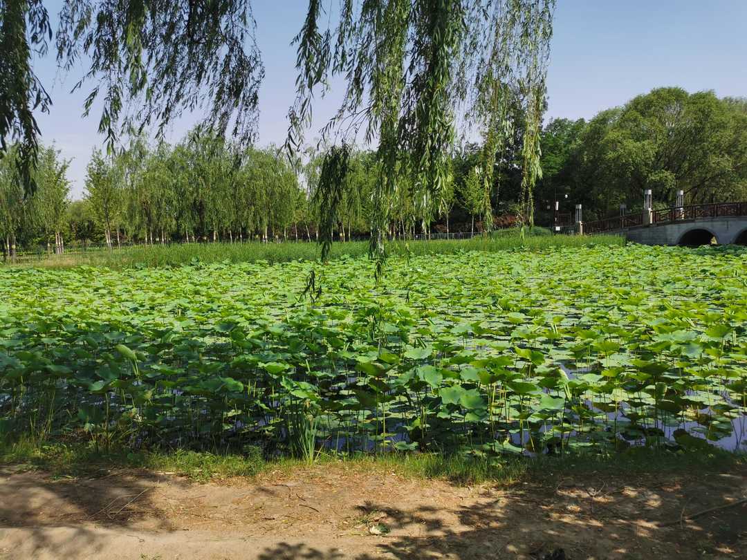 何必太执着图片,何必太执着原唱