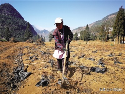 “云下”普联*光春**美