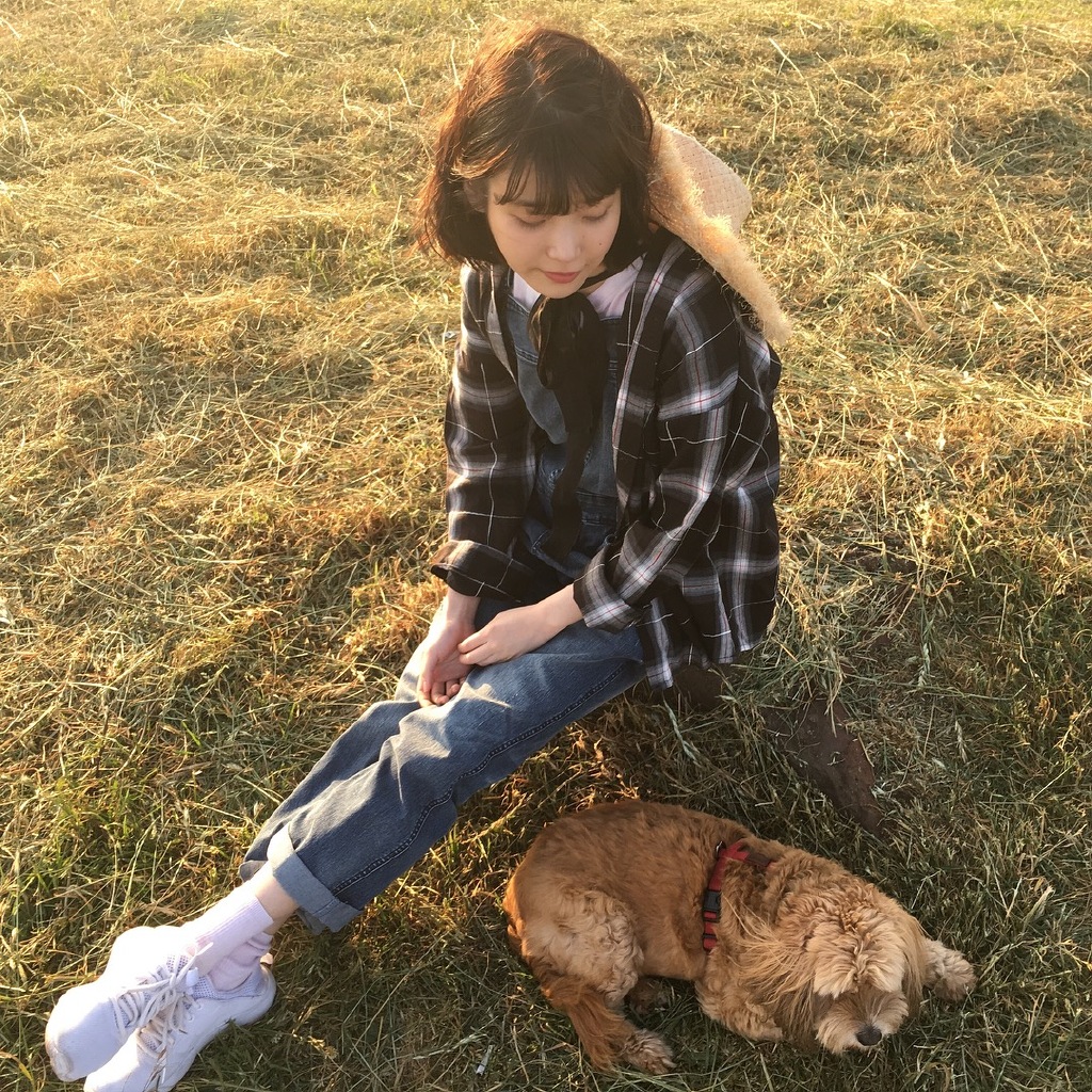 亲爱的客栈是韩国哪个节目,亲爱的客栈第三季为什么停播