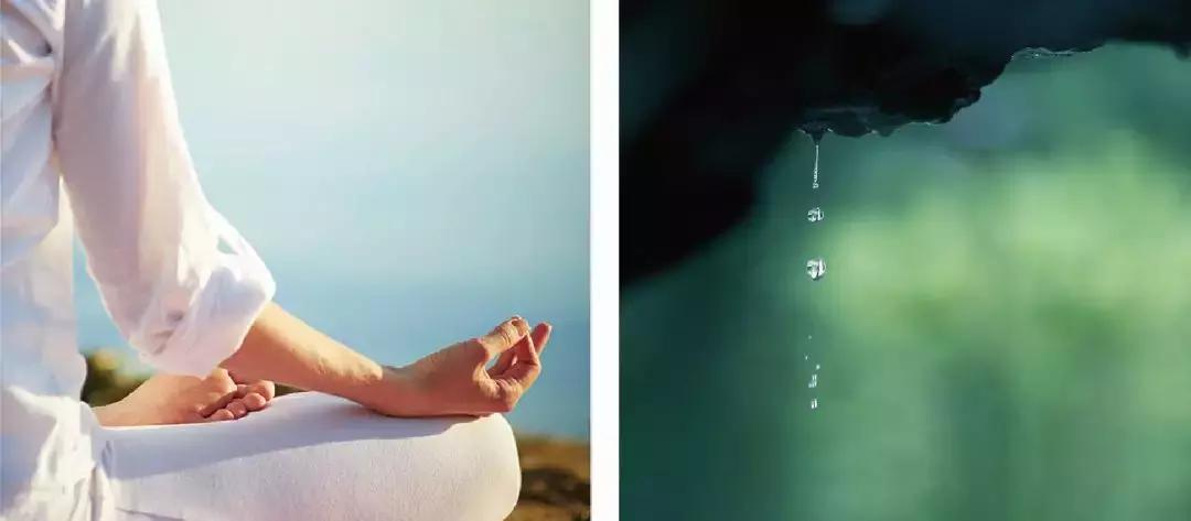 品智案例｜栖隐·大安民宿项目全案生态系统的突破