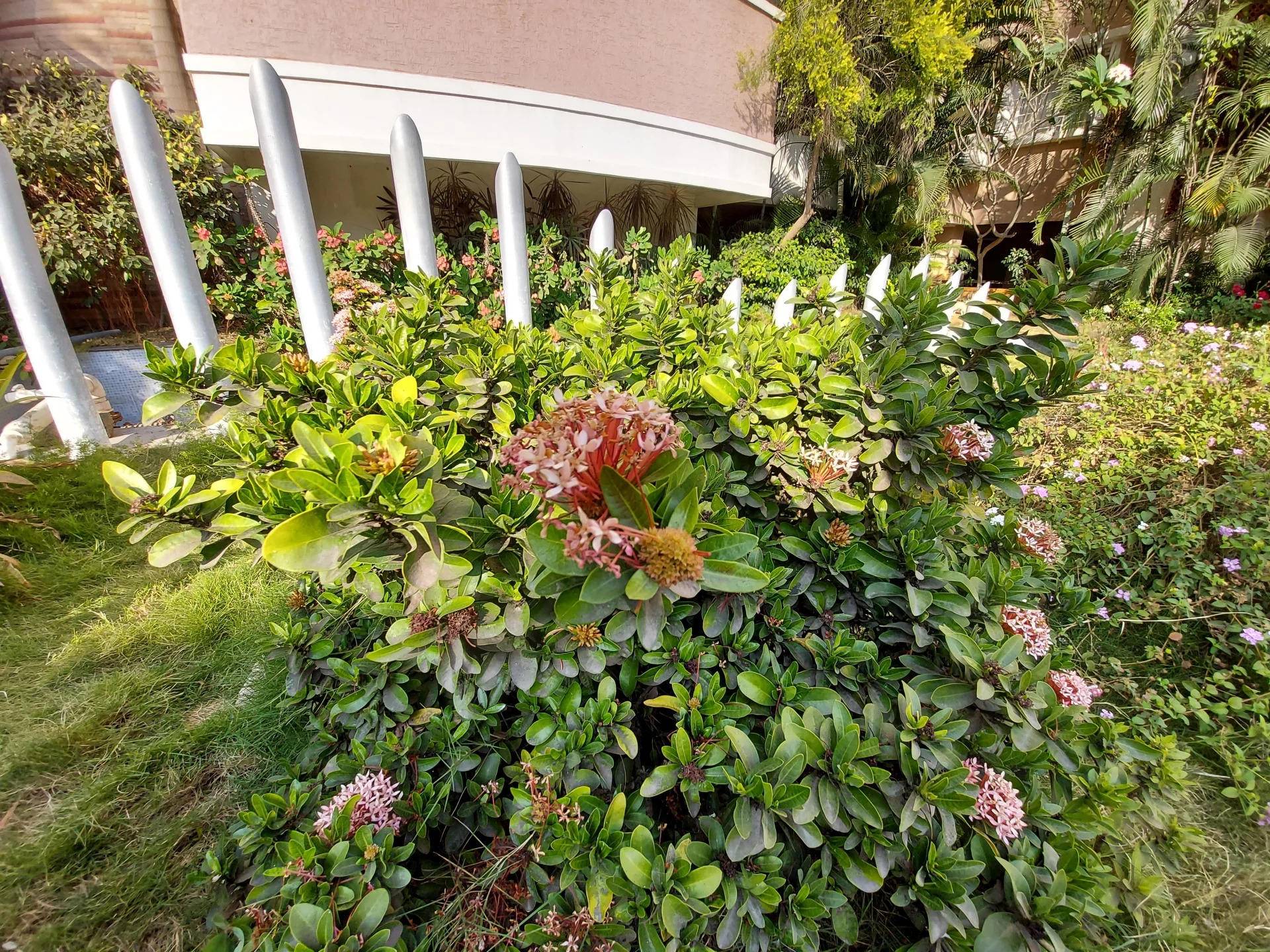 外媒三星galaxys10全系列上手体验,三星galaxys10sm-g9730评测