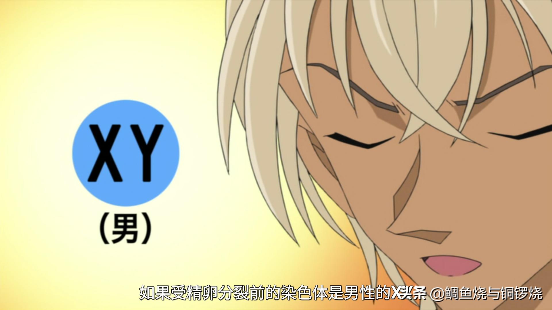 名侦探柯南安室透身份,名侦探柯南安室透个人资料