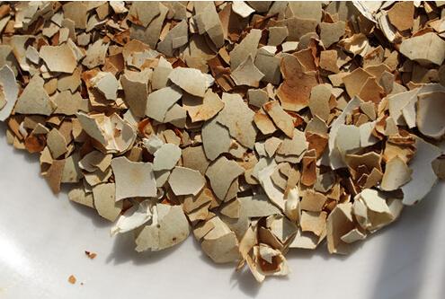 猪饲料里的钙用什么最好,养猪最省钱的猪饲料