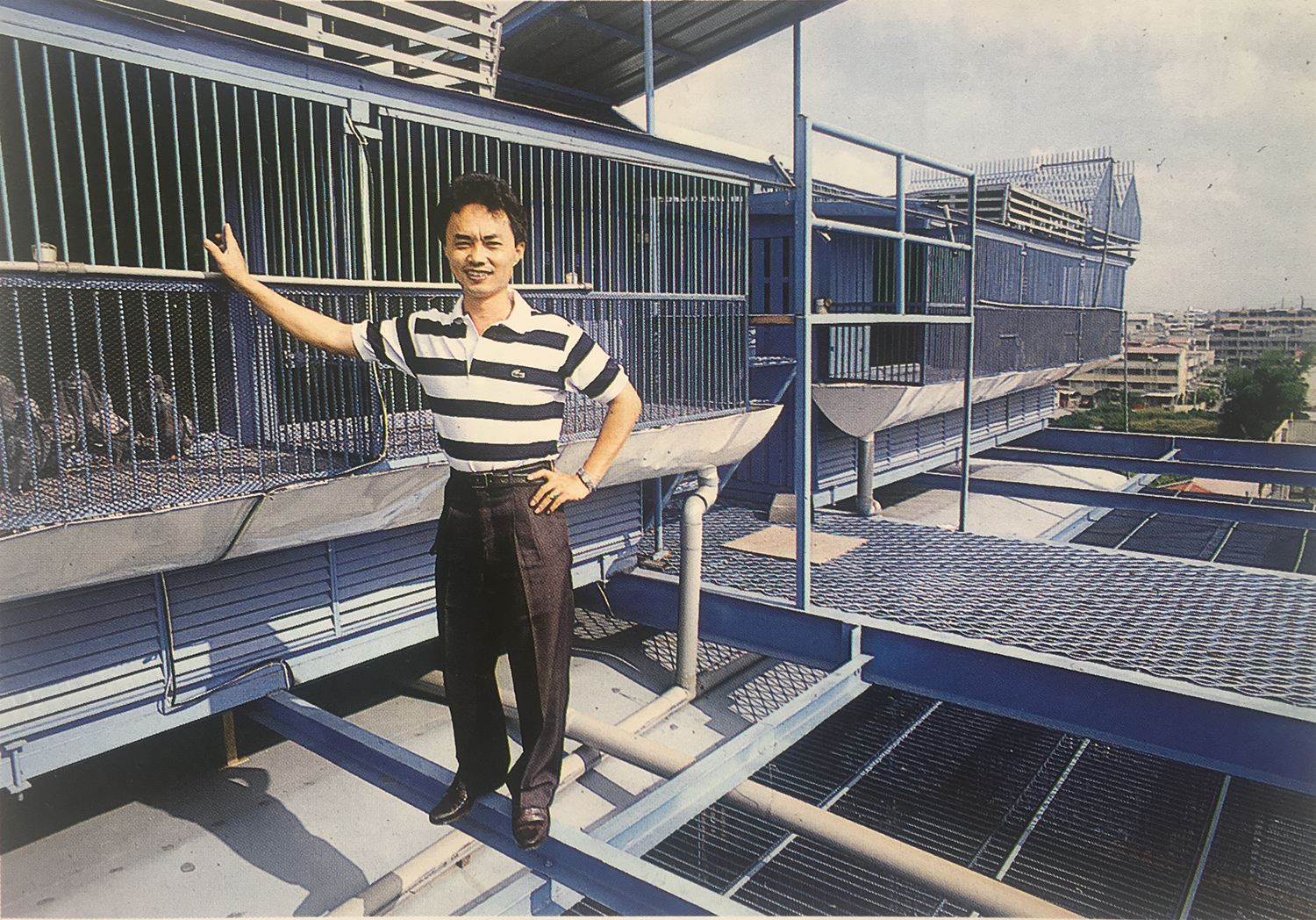 谈赛鸽的遗传以及育种的简单做法,赛鸽血统与育种初解