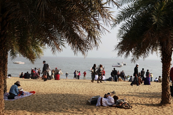 最新鼓浪屿一日游旅游攻略,旅游攻略鼓浪屿自由行攻略