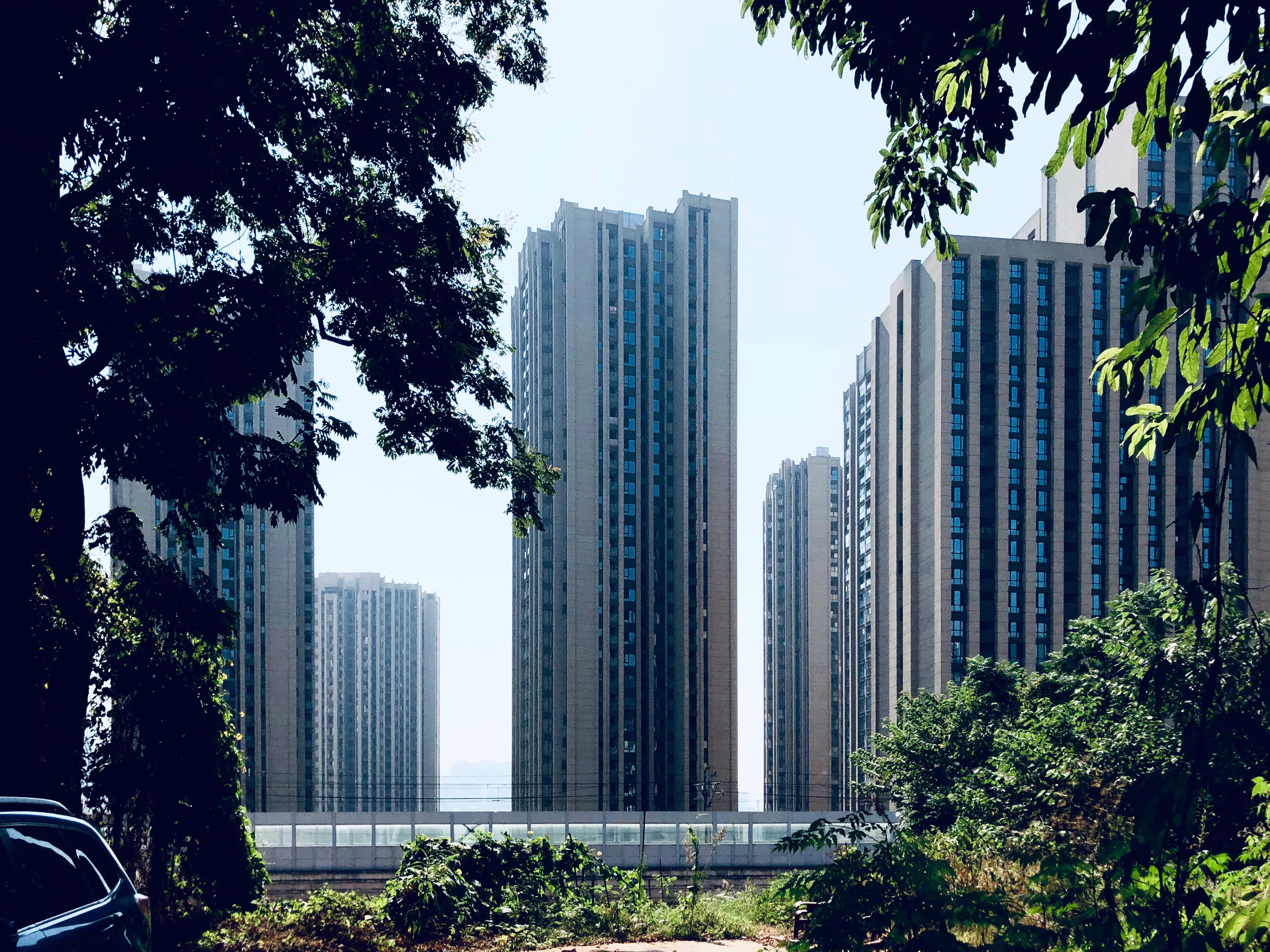 婕閲嶅簡瑙嗛,婕閲嶅簡