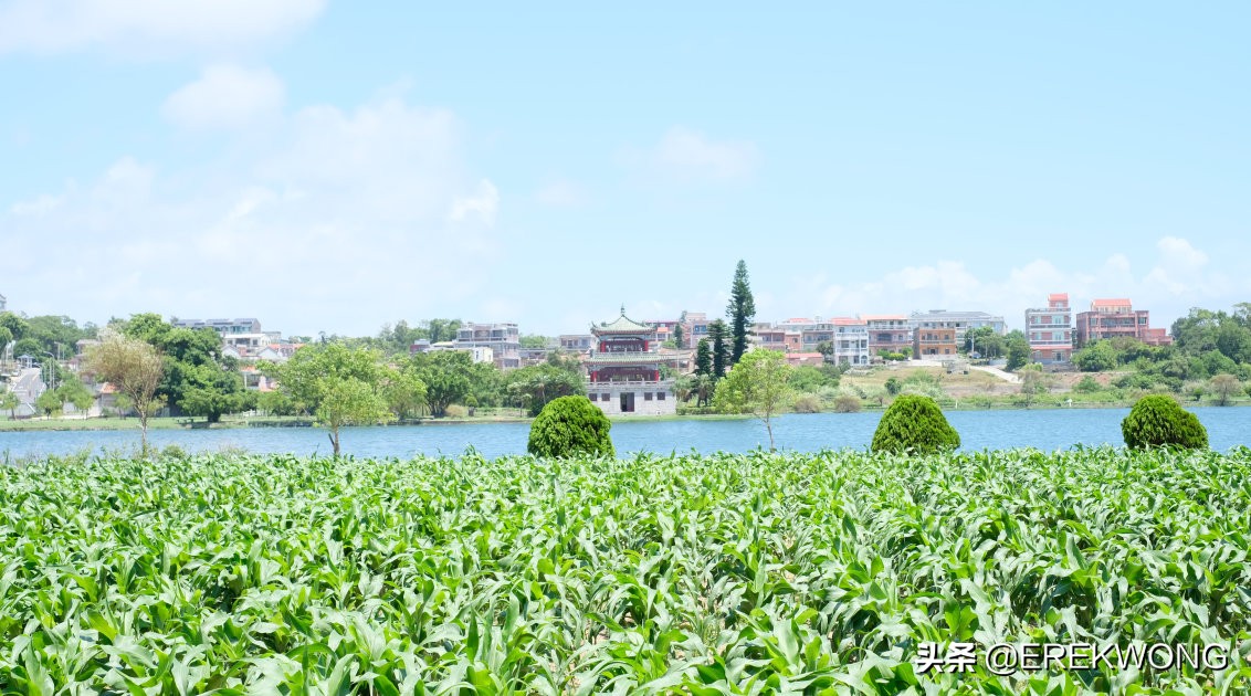 金门玩一天怎么玩,金门自由行攻略和费用