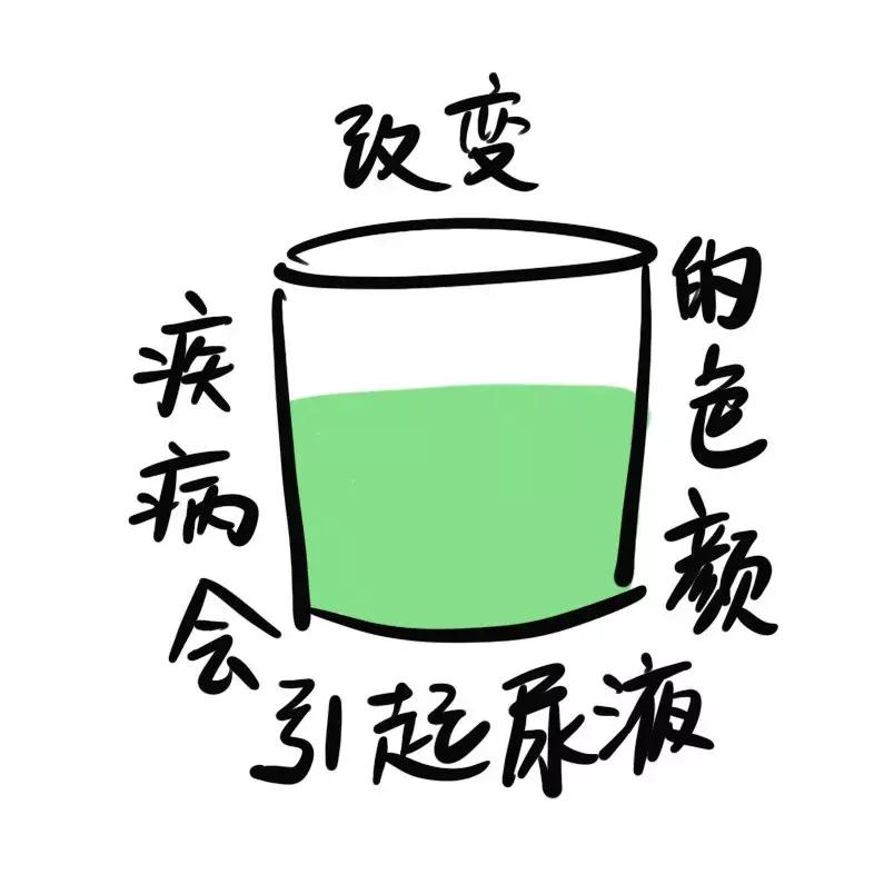 尿液颜色反映的疾病,尿液变成这5种颜色暗示大病将至