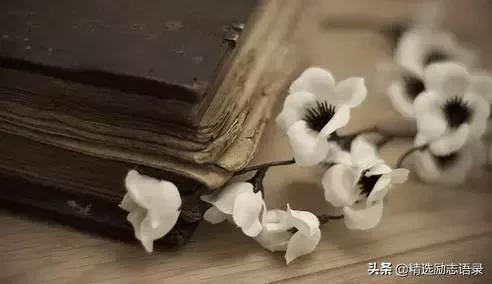 高中生人生规划及目标该怎么写,什么叫人生规划写得太好了